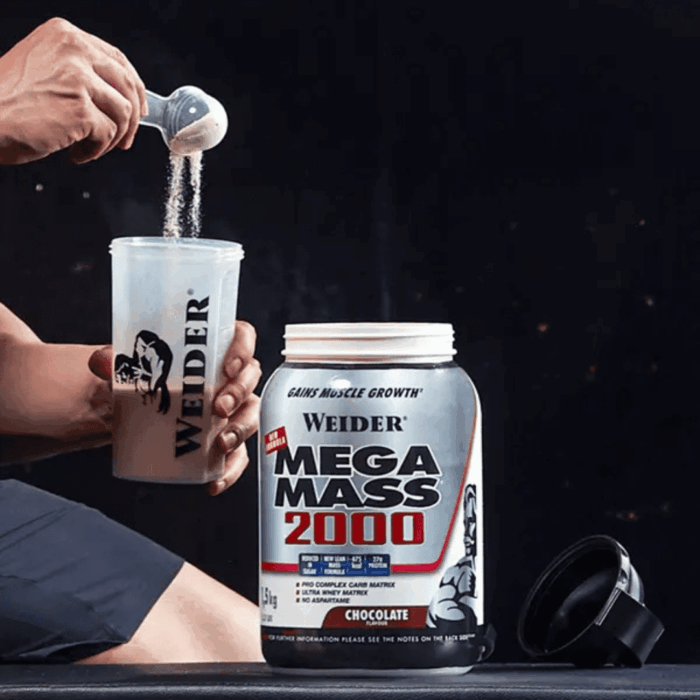 MEGA MASS 2000 (WEIDER) - Imagen 2